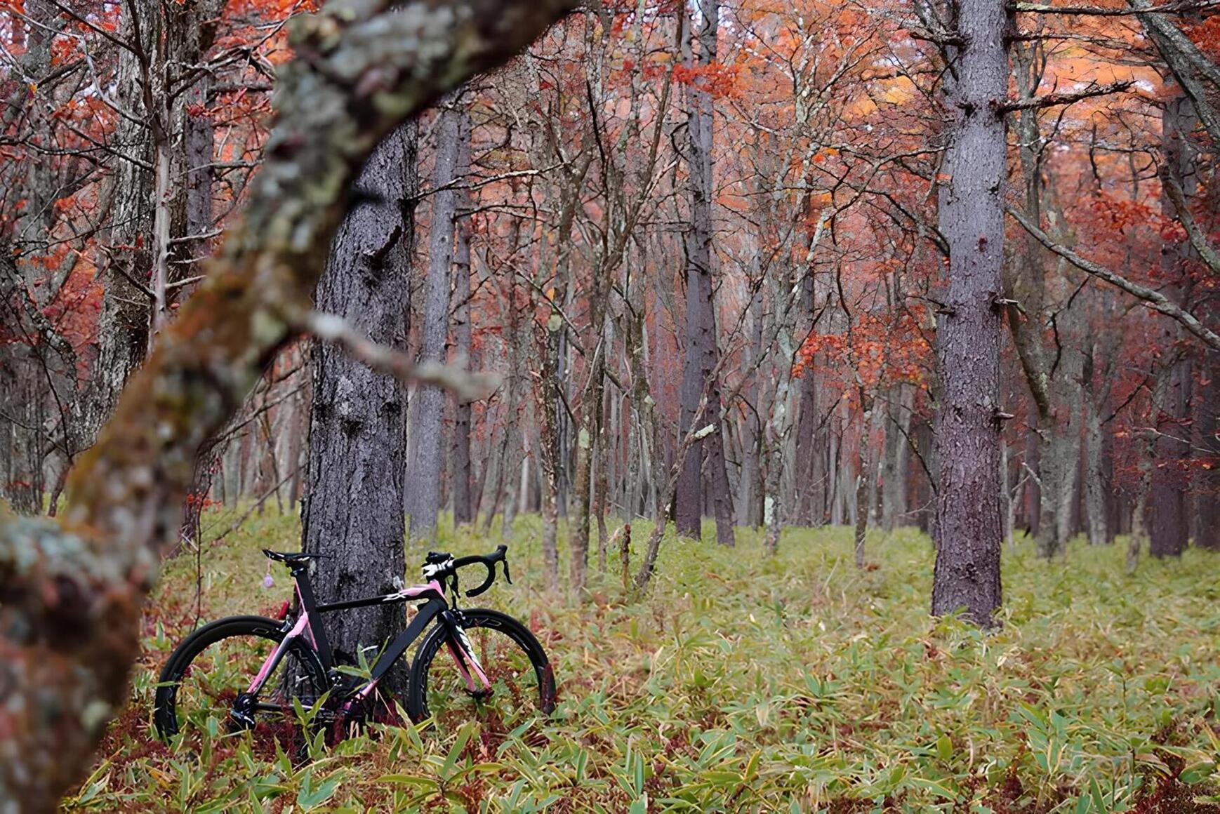 main bicycle